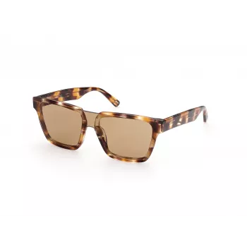 WEB EYEWEAR MAN WE0314-0041F γυαλί ηλίου Havana σκελετός ασετάτ καφέ φακοί διαβάθμισης 54-19-145