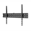 WINX MOUNT Απλή βάση TV, 37-70 ίντσες, έως 40 kg