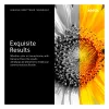 Xerox Extra High Capacity κίτρινο γνήσιο τόνερ