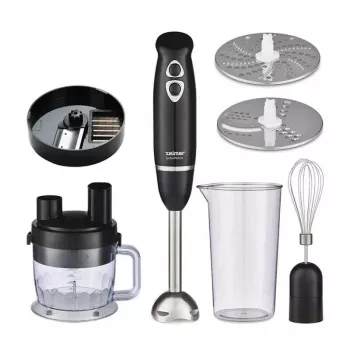 Zelmer ZHB4600 QubeMaster Ραβδομπλέντερ